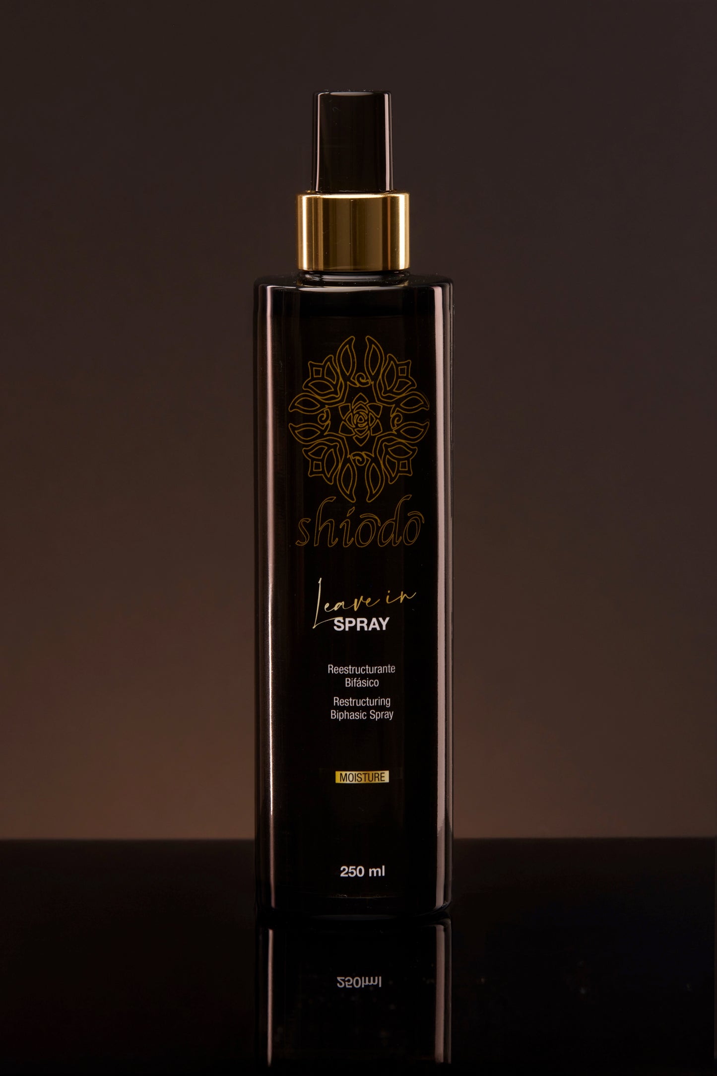 Leave In x 250 ml | Moisture Hidratante