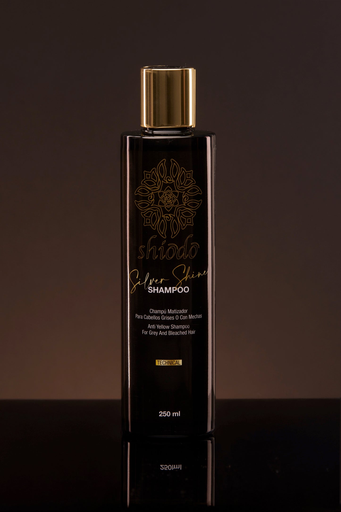 Silver Shine x 250 ml | Technical