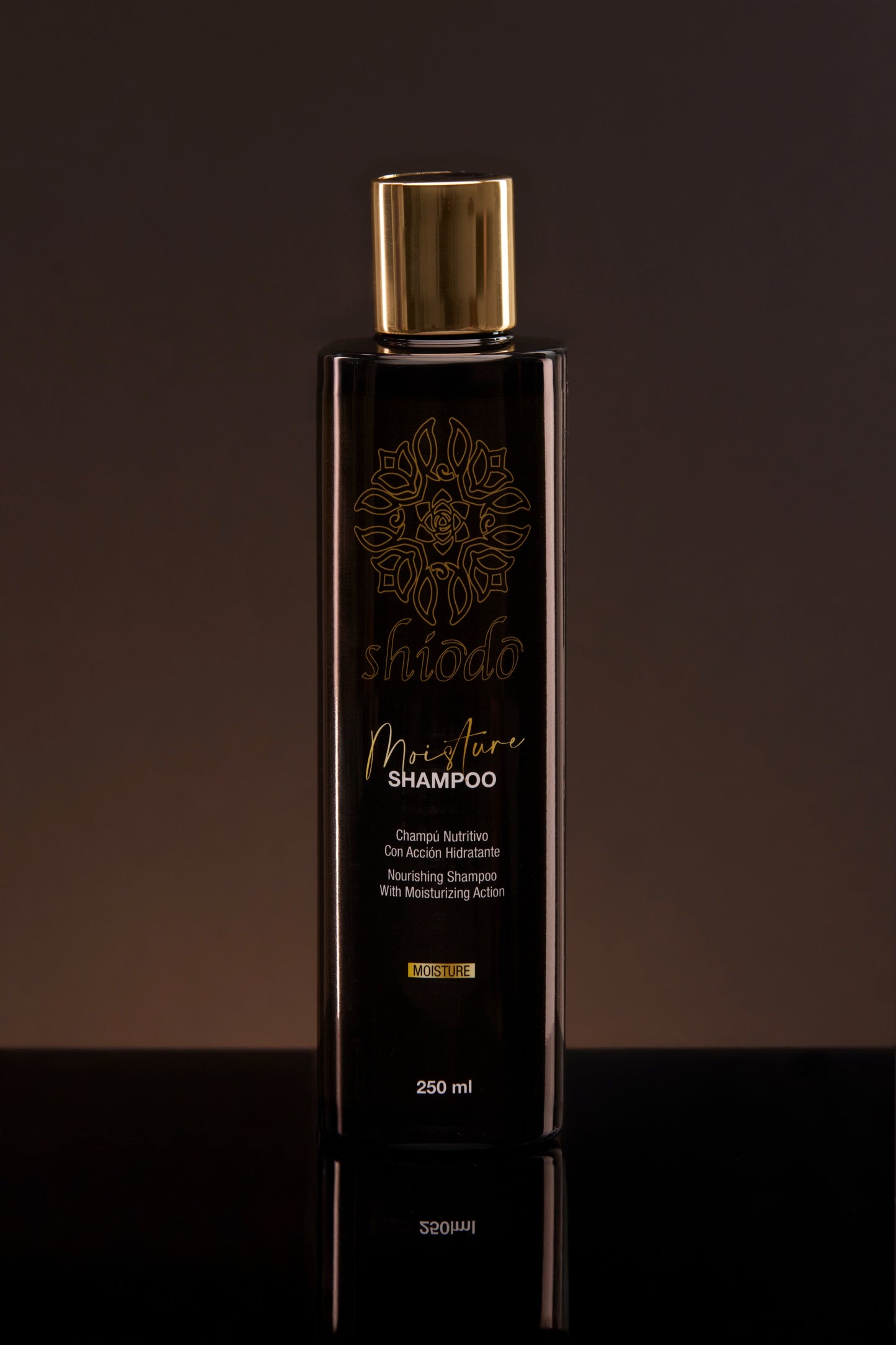Moisture Shampoo x 250 ml | Moisture Hidratante